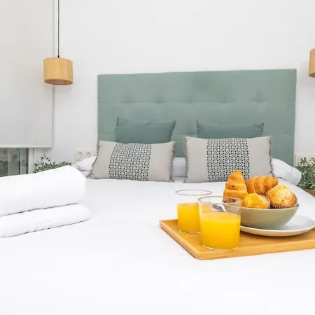 Carreteria 51 Increible Centro Historico Sinesedesignhomes *